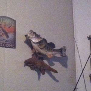 Meet your Posher, Kaleb